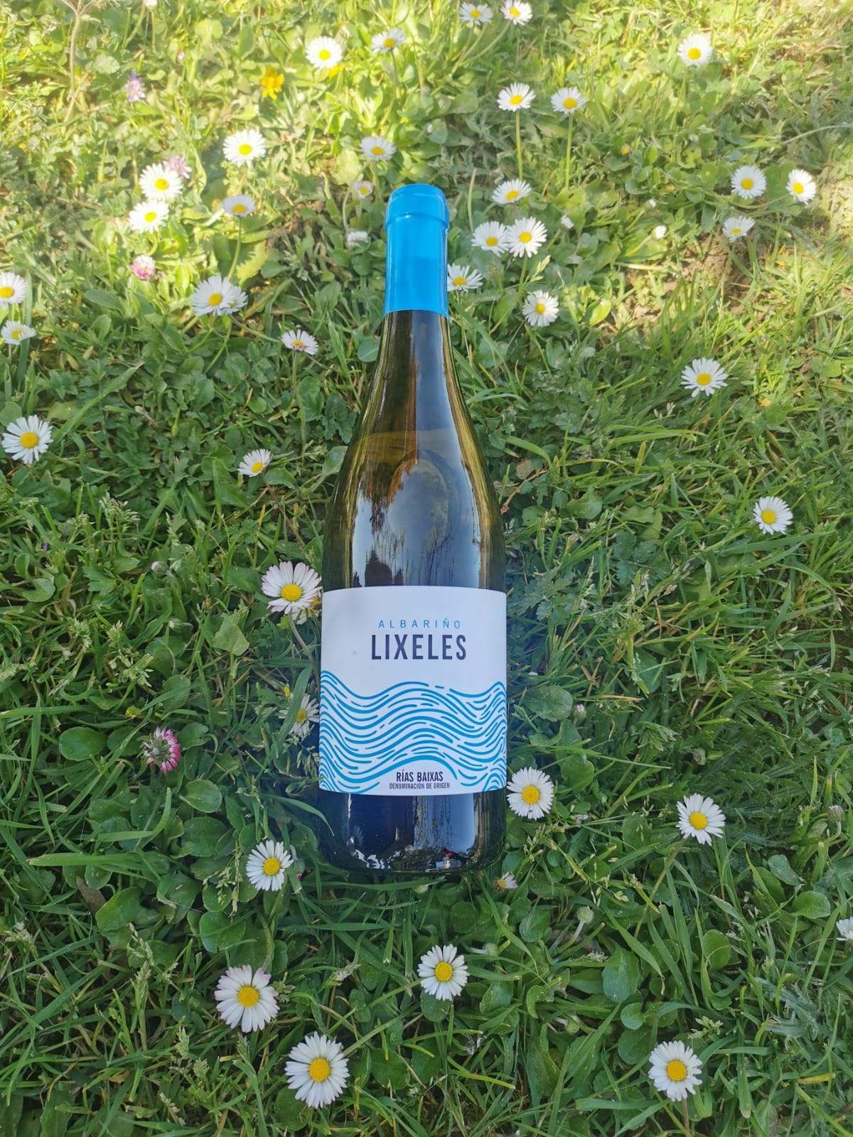 Botella de Lixeles sobre la hierba entre margaritas